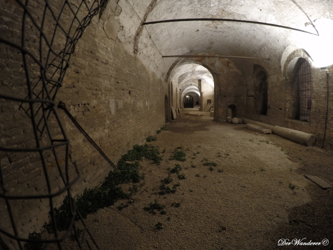 DCIM100GOPROGOPR2212.