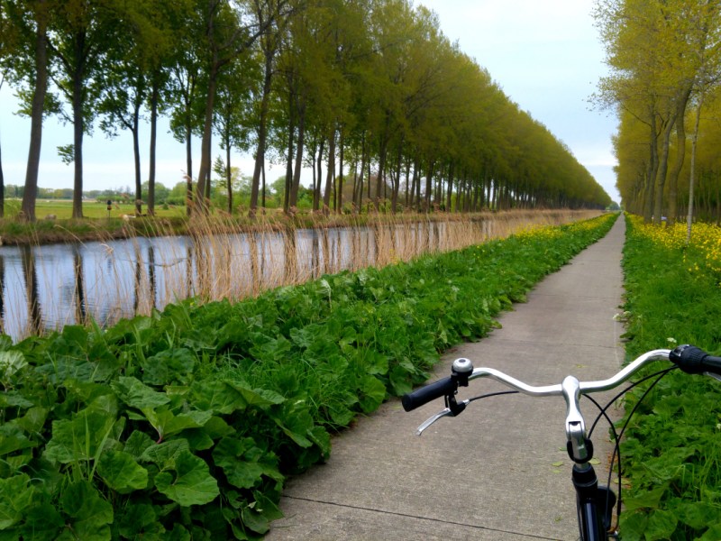 BELGIO| 5 COSE DA NON PERDERE A&nbsp;BRUGES