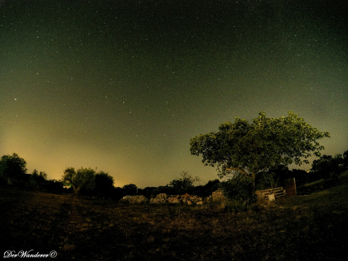 DCIM100GOPROGOPR2985.