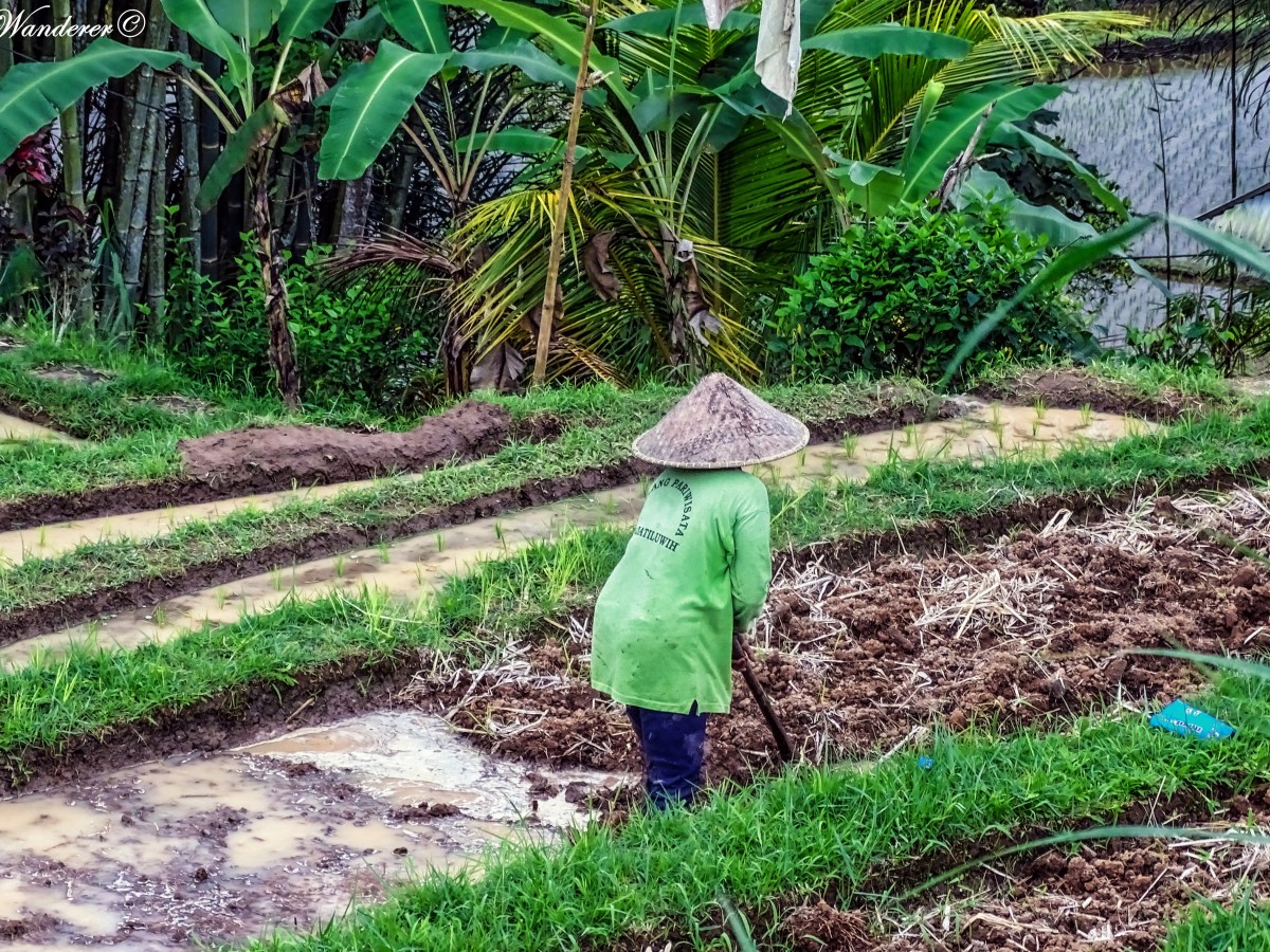 BALI FAI DA TE: i nostri consigli per organizzare il&nbsp;viaggio