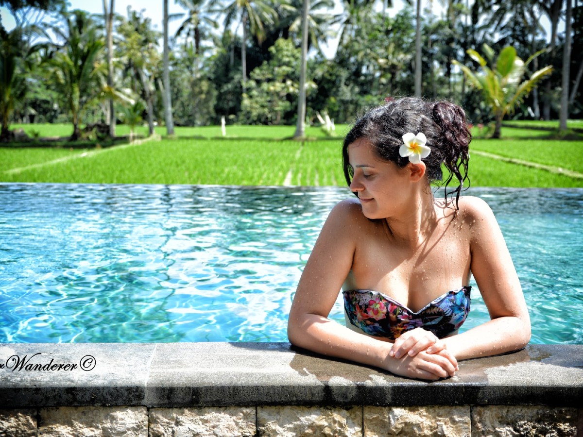 PAJAR HOUSE UBUD & VILLAS: un Hotel immerso nelle risaie nel cuore di&nbsp;Bali