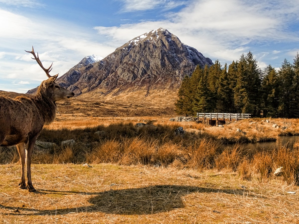 UN ASSAGGIO DI SCOZIA: 4 GIORNI ON THE ROAD DA EDIMBURGO ALLE&nbsp;HIGHLANDS